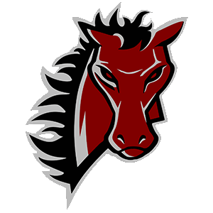 LSN_BRONCO.png